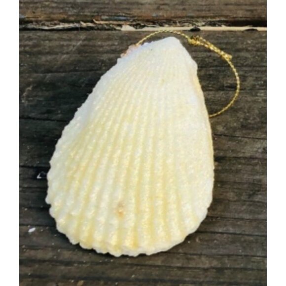 Lot of 5 Handmade Glittered Seashell Christmas Ornaments Angel Murex Clam Coasta - Picture 6 of 11